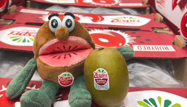 佳沛宝石红奇异果首次空运抵沪 万纬冷链高效接驳入库