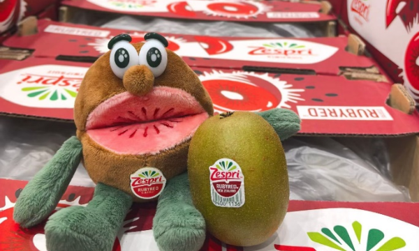 佳沛宝石红奇异果首次空运抵沪 万纬冷链高效接驳入库